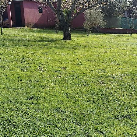 Alojamiento Entero Con Piscina Y Jardin. Оуренсе Екстериор снимка